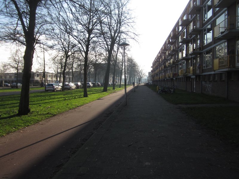 43315_7-anders.jpg