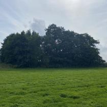 ObjectFoto.45437.6.jpg