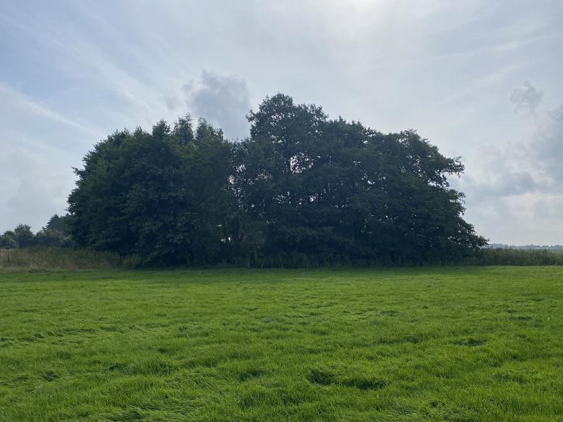 ObjectFoto.45437.6.jpg
