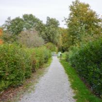 ObjectFoto.45890.8.jpg