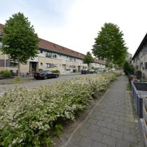ObjectFoto.42983.5.jpg