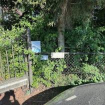 ObjectFoto.46707.1.jpg