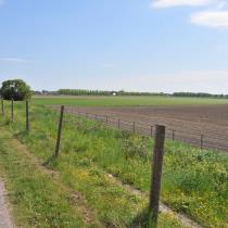 ObjectFoto.44044.4.JPG