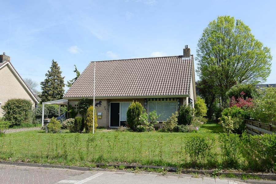 ObjectFoto.46694.4.jpg