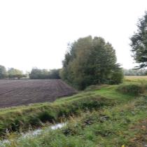 ObjectFoto.43384.JPG