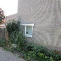 46079_8-image-jpeg.jpg