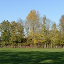 ObjectFoto.44531.4.JPG