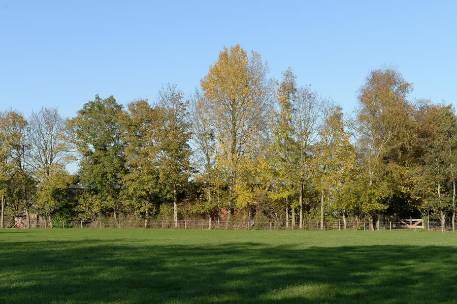 ObjectFoto.44531.4.JPG