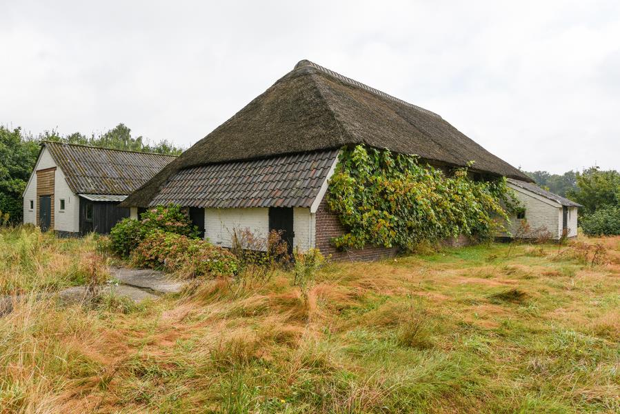ObjectFoto.46467.6.jpg
