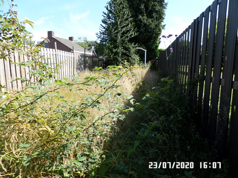 45181_39-tuin.jpg