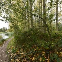 ObjectFoto.45027.B.jpg