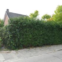 ObjectFoto.45870.6.jpg