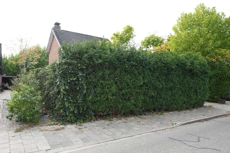 ObjectFoto.45870.6.jpg
