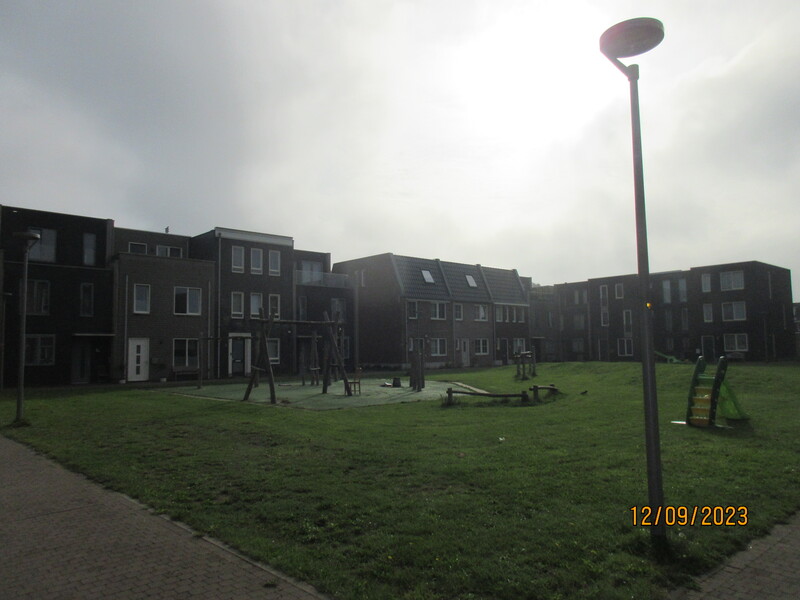 46190_8-image-jpeg.jpg