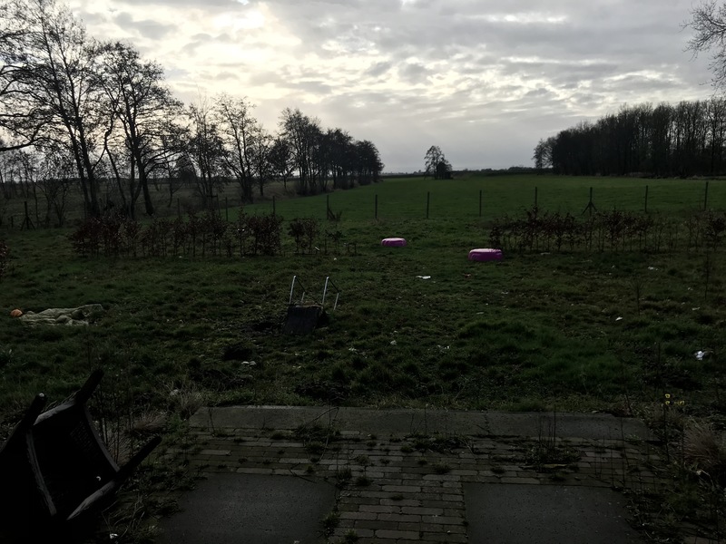 44705_22-tuin.jpg
