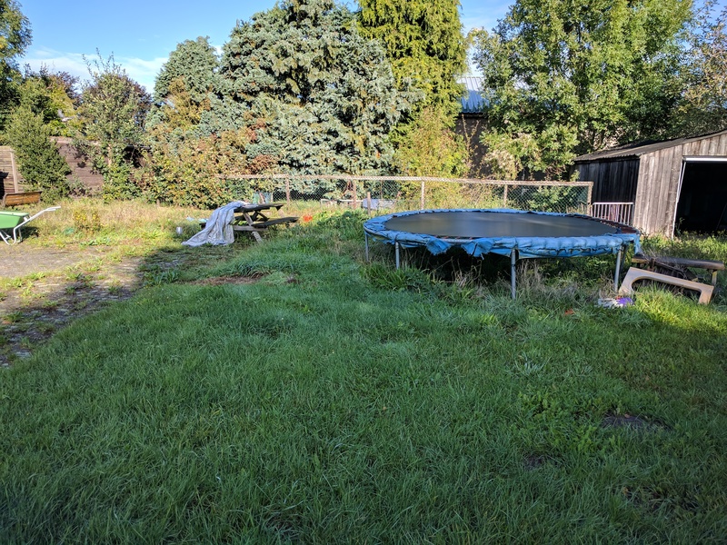 43168_51-tuin.jpg
