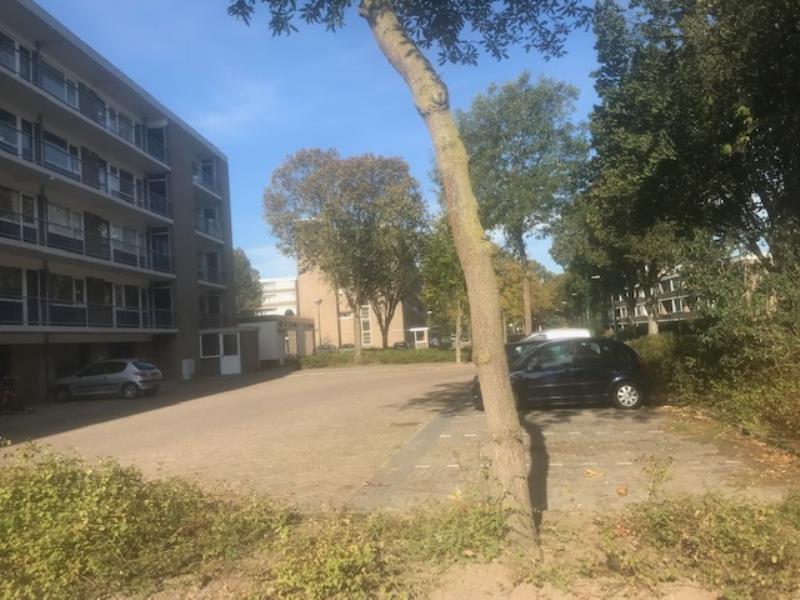 44313_15-straatbeeld.jpg