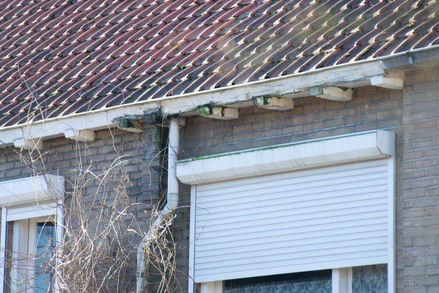 ObjectFoto.46235.11.jpg