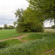 ObjectFoto.44123.1.JPG