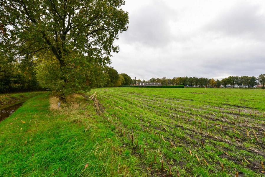 ObjectFoto.44525.7.jpg