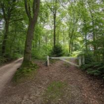 ObjectFoto.46417.2.jpg