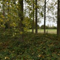 ObjectFoto.45027.A.jpg