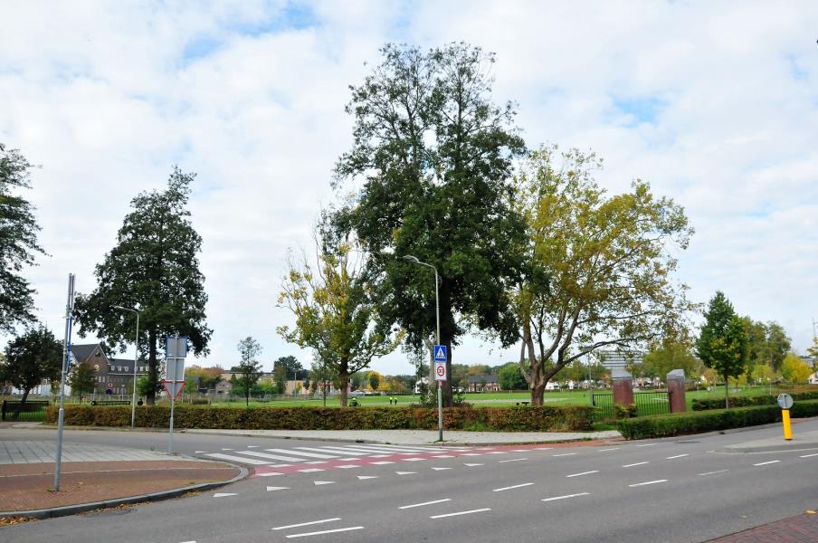 ObjectFoto.45031.#.3.JPG
