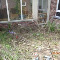 45455_17-tuin.jpg