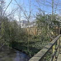 ObjectFoto.45657.5.jpg