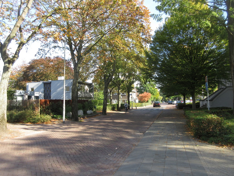 43800_10-straatbeeld.jpg