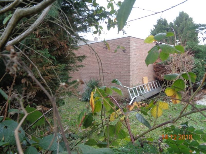 44397_17-tuin.jpg