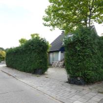 ObjectFoto.45870.1.jpg
