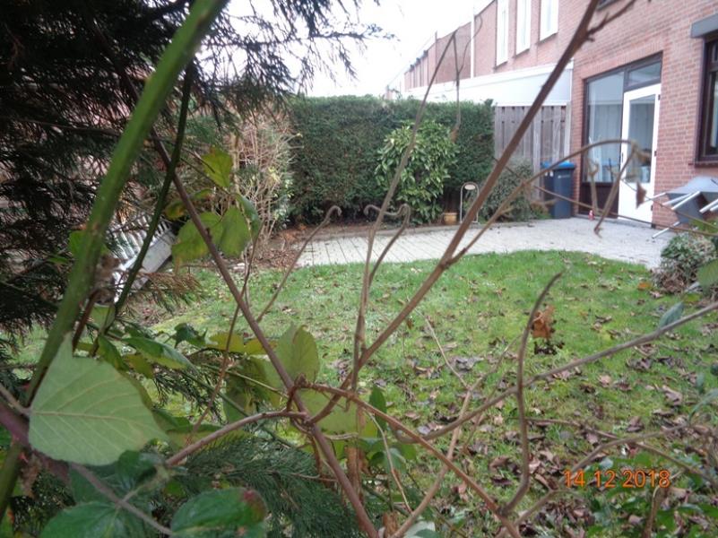 44397_16-tuin.jpg