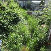 44972_17-tuin.jpg