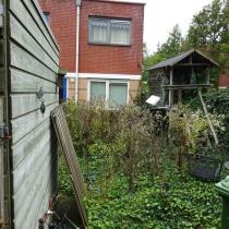 44686_6-tuin.jpg