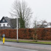 ObjectFoto.44633.1.jpg