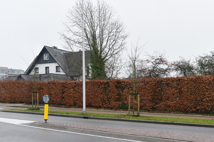 ObjectFoto.44633.1.jpg