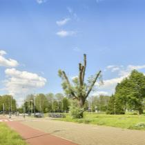 ObjectFoto.46385.4.jpg