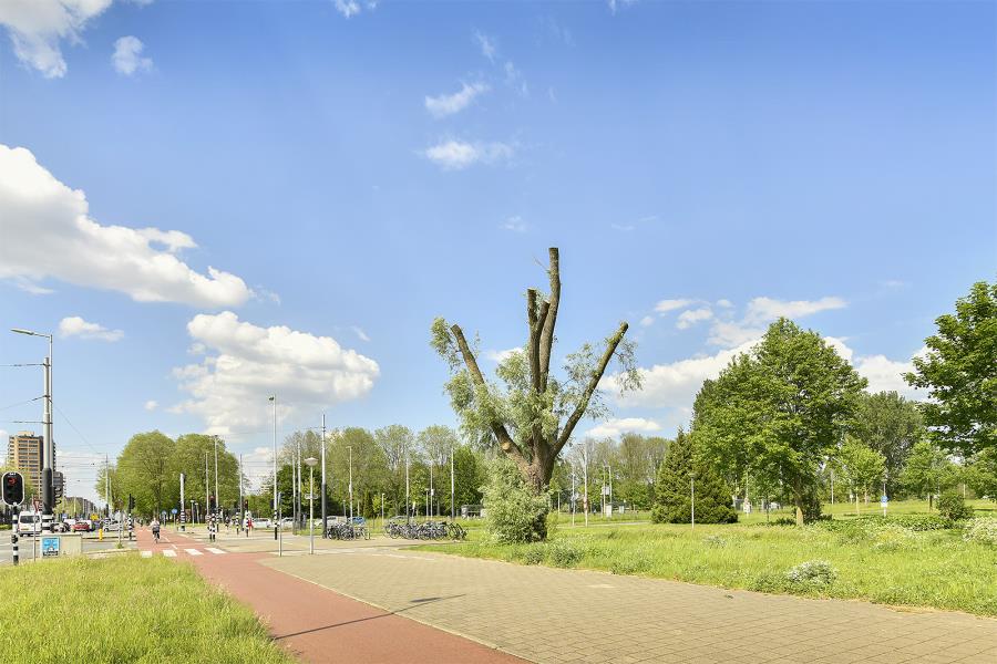 ObjectFoto.46385.4.jpg